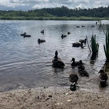 דירה Prywatny 413 W Arka Medical Przy Plazy קולובז'ג